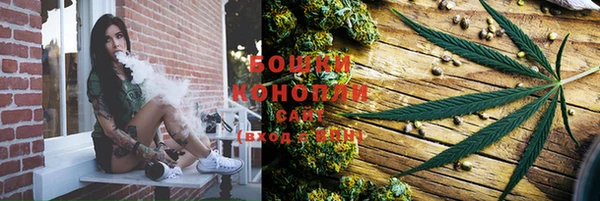 гидропоника Абаза