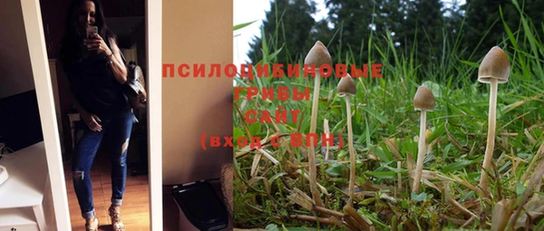 гидропоника Абаза