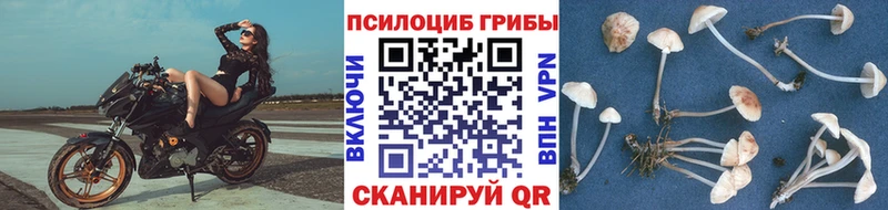 наркошоп  Хадыженск  Галлюциногенные грибы мухоморы 