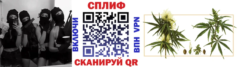 Шишки марихуана индика  где продают наркотики  Хадыженск 